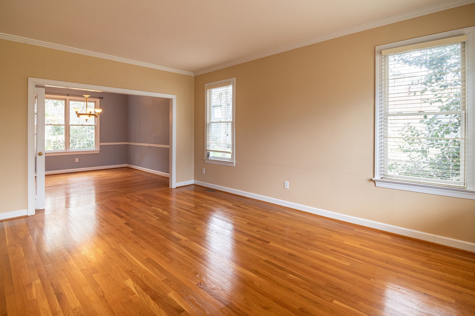 Bright spacious living room with hardwood floors and warm neutral walls