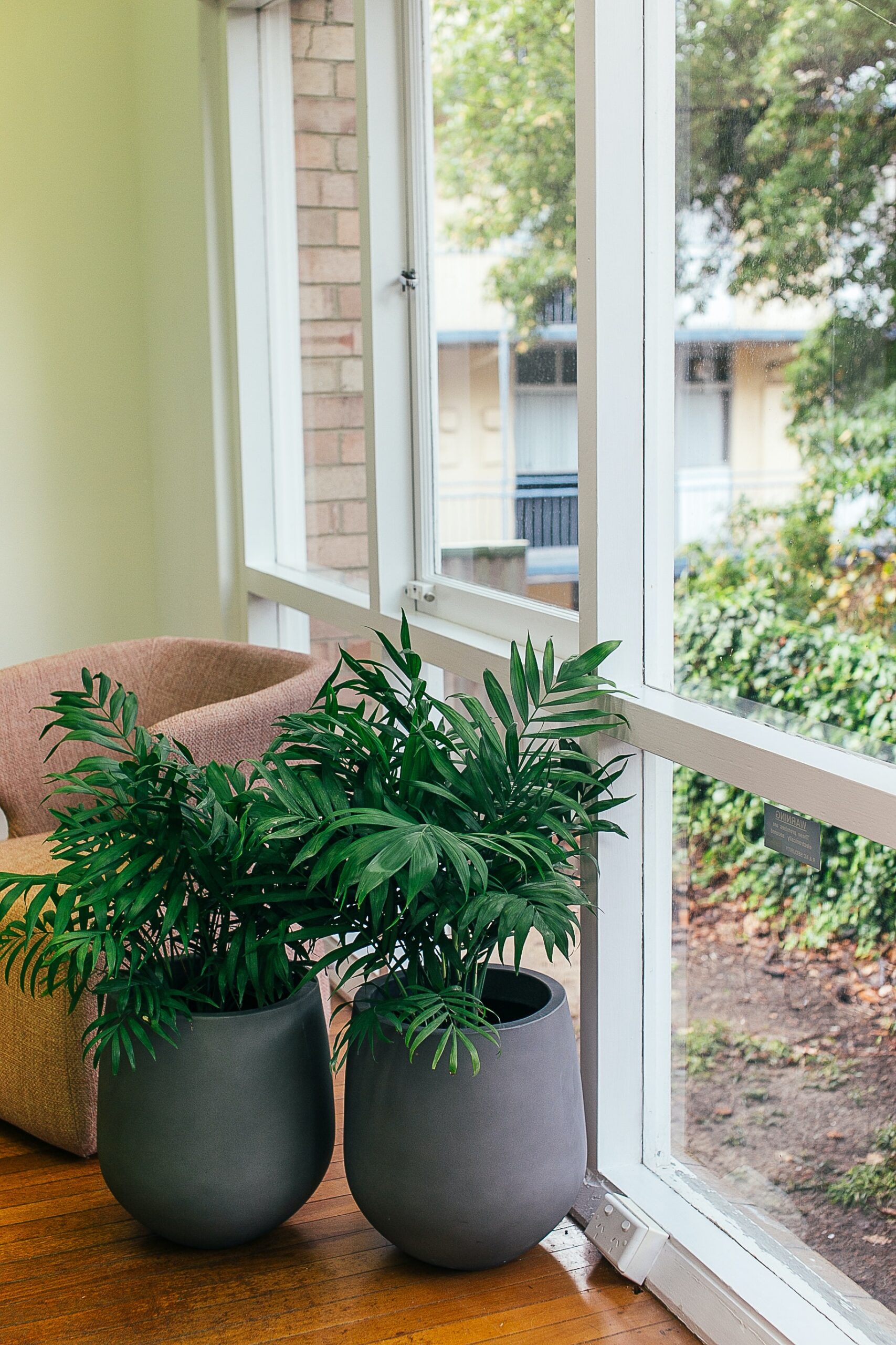 Potted plants on sunny windowsill overlooking garden with natural light